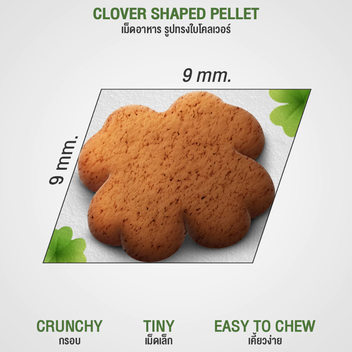 Clover holistic grain-free อาหารแมว อายุตั้งแต่ 2 เดือนขึ้นไป ขนาด 1kg