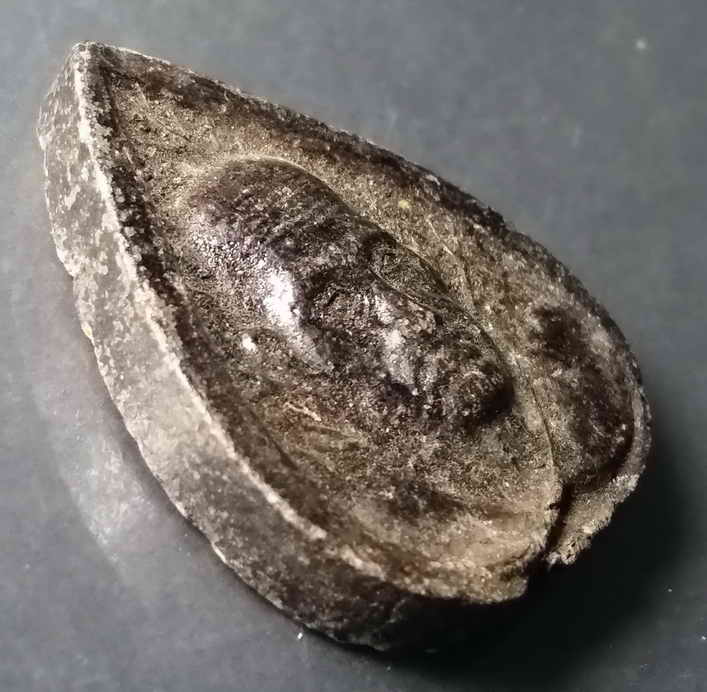 รหัสสินค้า พิจิตร 035 พระเนื้อดินพิมพ์ใบโพธิ์รูปเหมือนหลวงพ่อเงิน วัดบางคลาน ออกวัดป่าหวาย จังหวัดพิจิตร