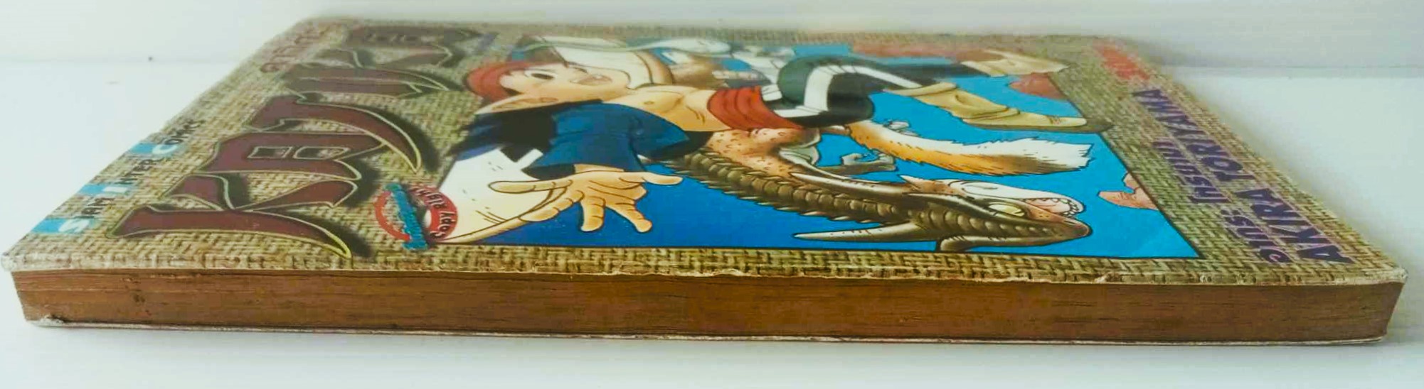 คาจิกะ (โทริยาม่า อากิรา)