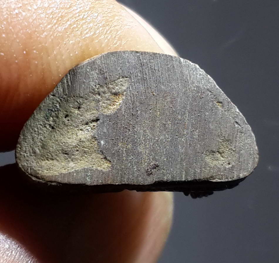 รหัสสินค้า พระกริ่ง พระหล่อ 239 รูปหล่อเนื้อทองผสม พระพุทธหลวงพ่ออู่ทอง วัดไผ่ขอน้ำ สร้างปี 2553