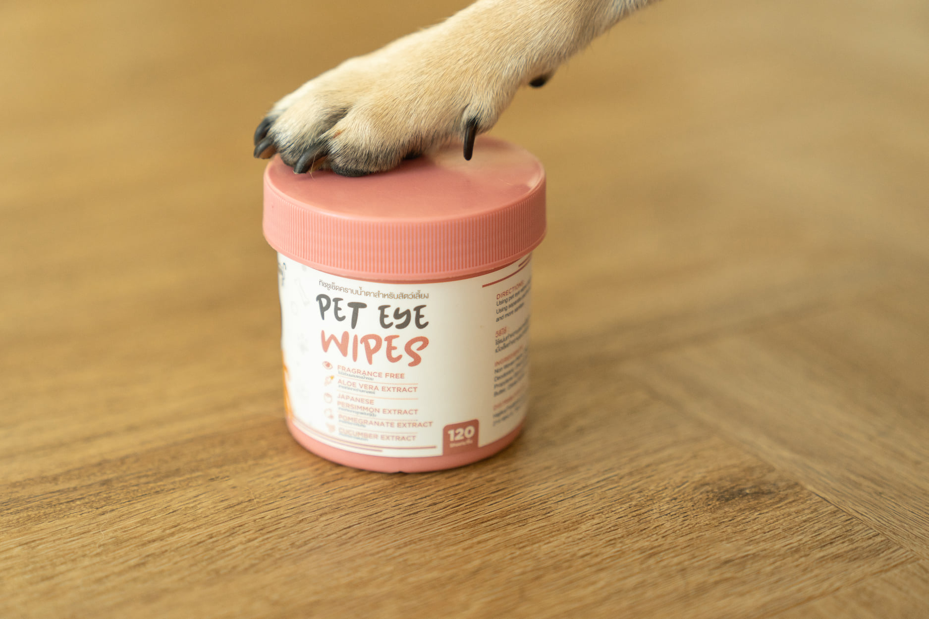 Hajiko X Catory ทิชชูเปียกเช็ดคราบน้ำตา *อ่อนโยน *ปลอดภัย *ยับยั้งเชื้อแบคทีเรีย