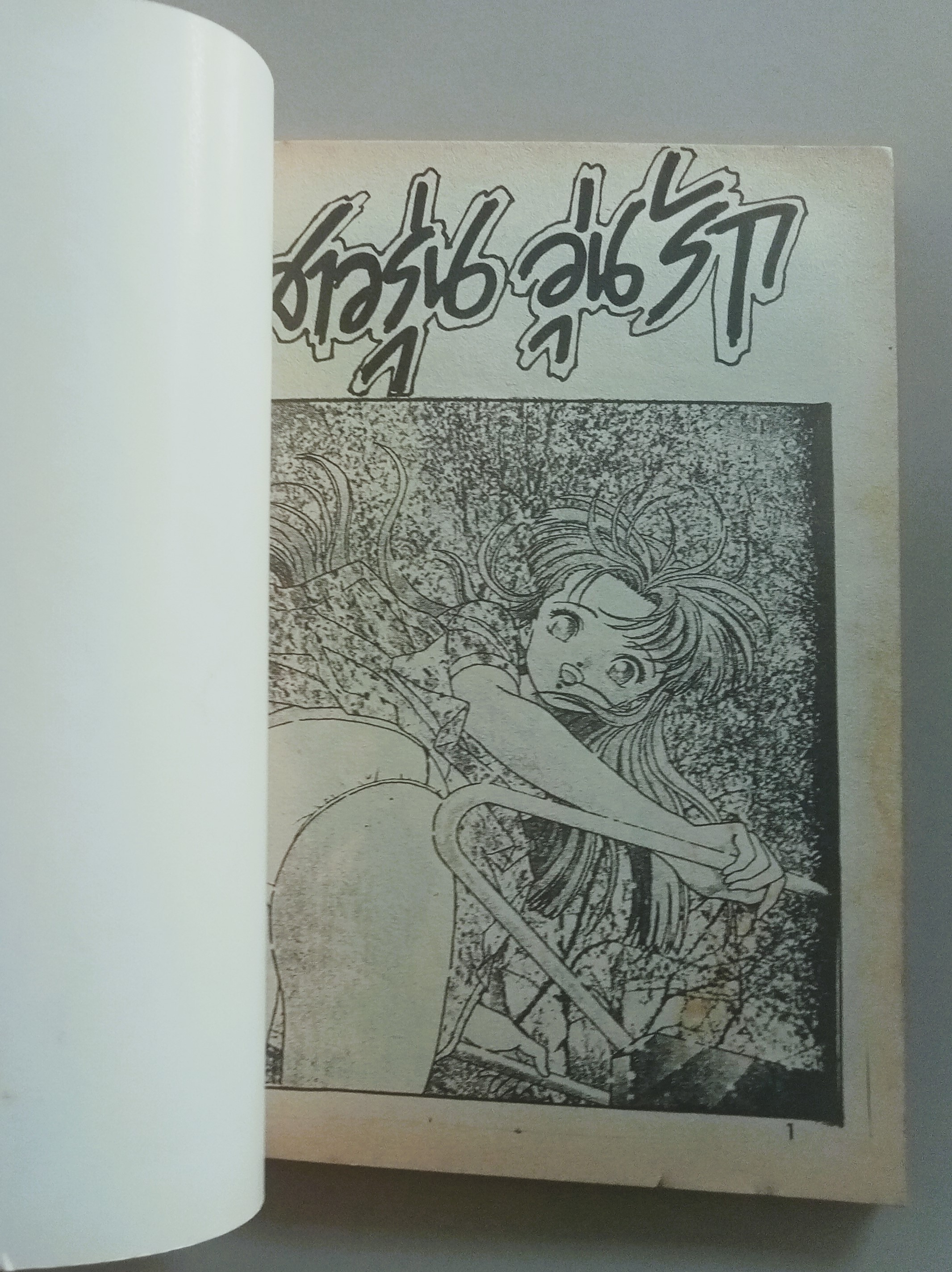 สาวรุ่นวุ่นรัก