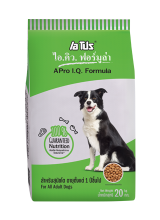 A Pro I.Q. Formula เอโปร ไอคิว ฟอร์มูล่า สุนัขโต