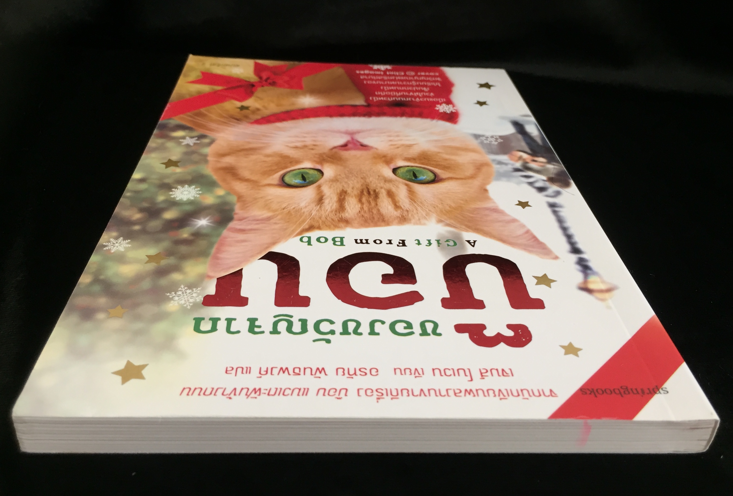ของขวัญจากบ๊อบ A Gift from Bob