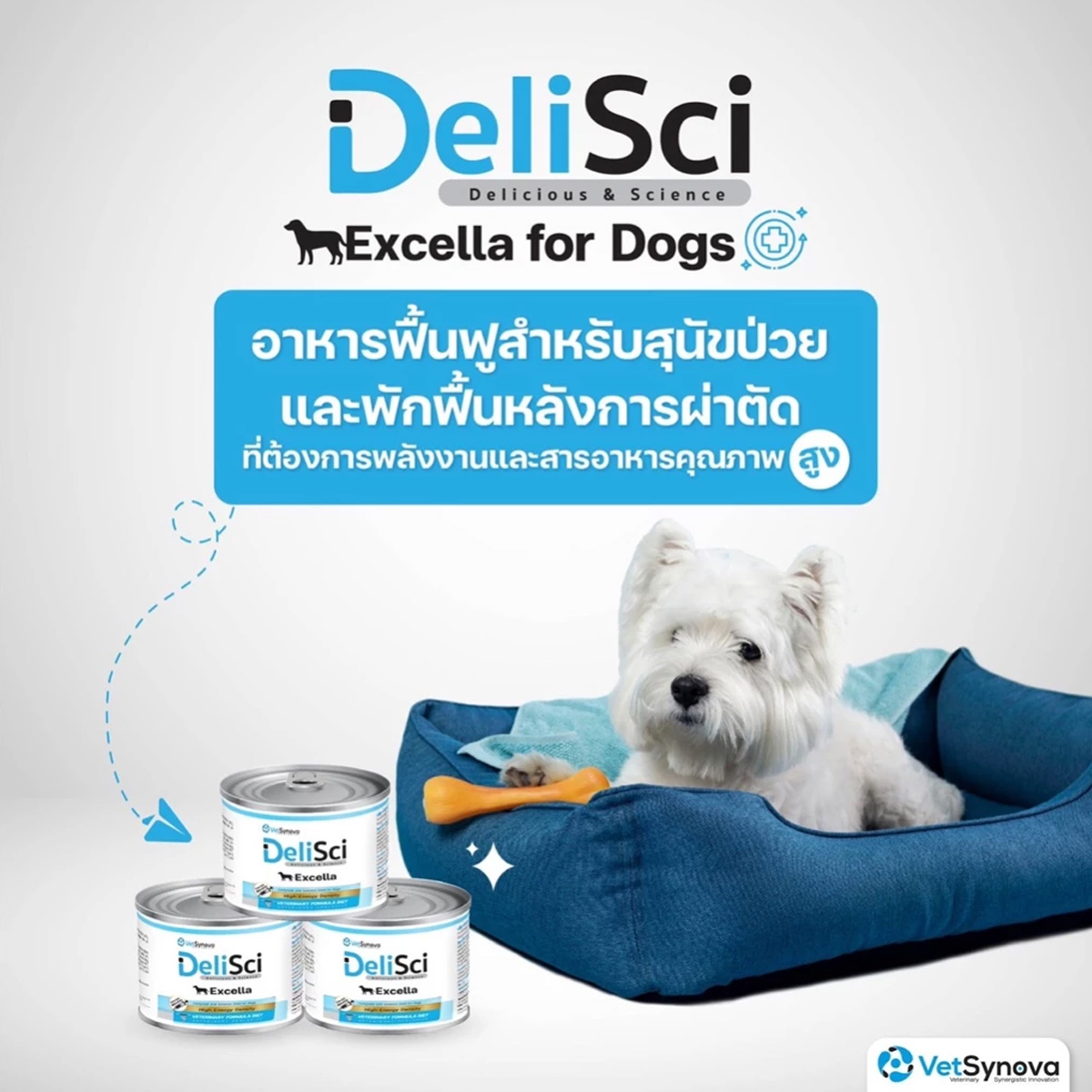 DeliSci : Excella อาหารฟื้นฟูสําหรับสัตว์ป่วย ขาดสารอาหาร และพักฟื้นหลังการผ่าตัด ที่ต้องการพลังงานสูง ขนาด 185g