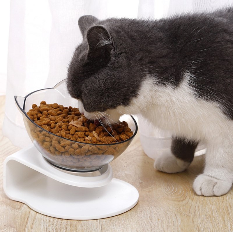 ชุดชามให้อาหารแมว แบบเอียง 15 องศา
