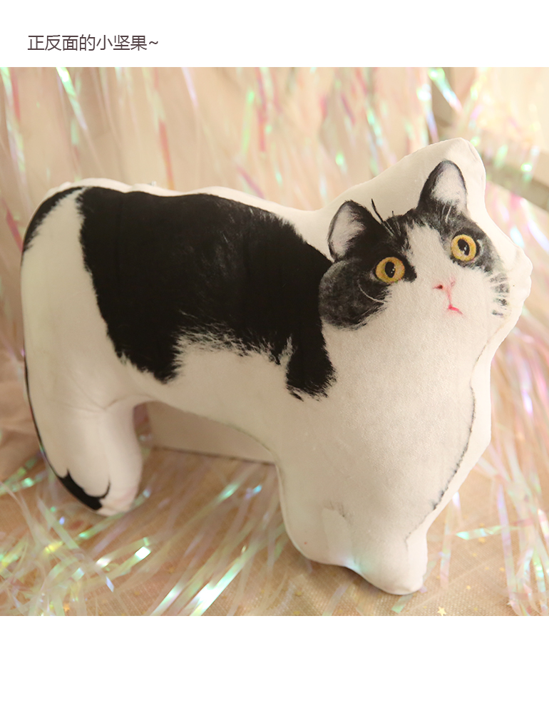 หมอนตุ๊กตาน้องถั่ว แมวของเซียวจ้าน