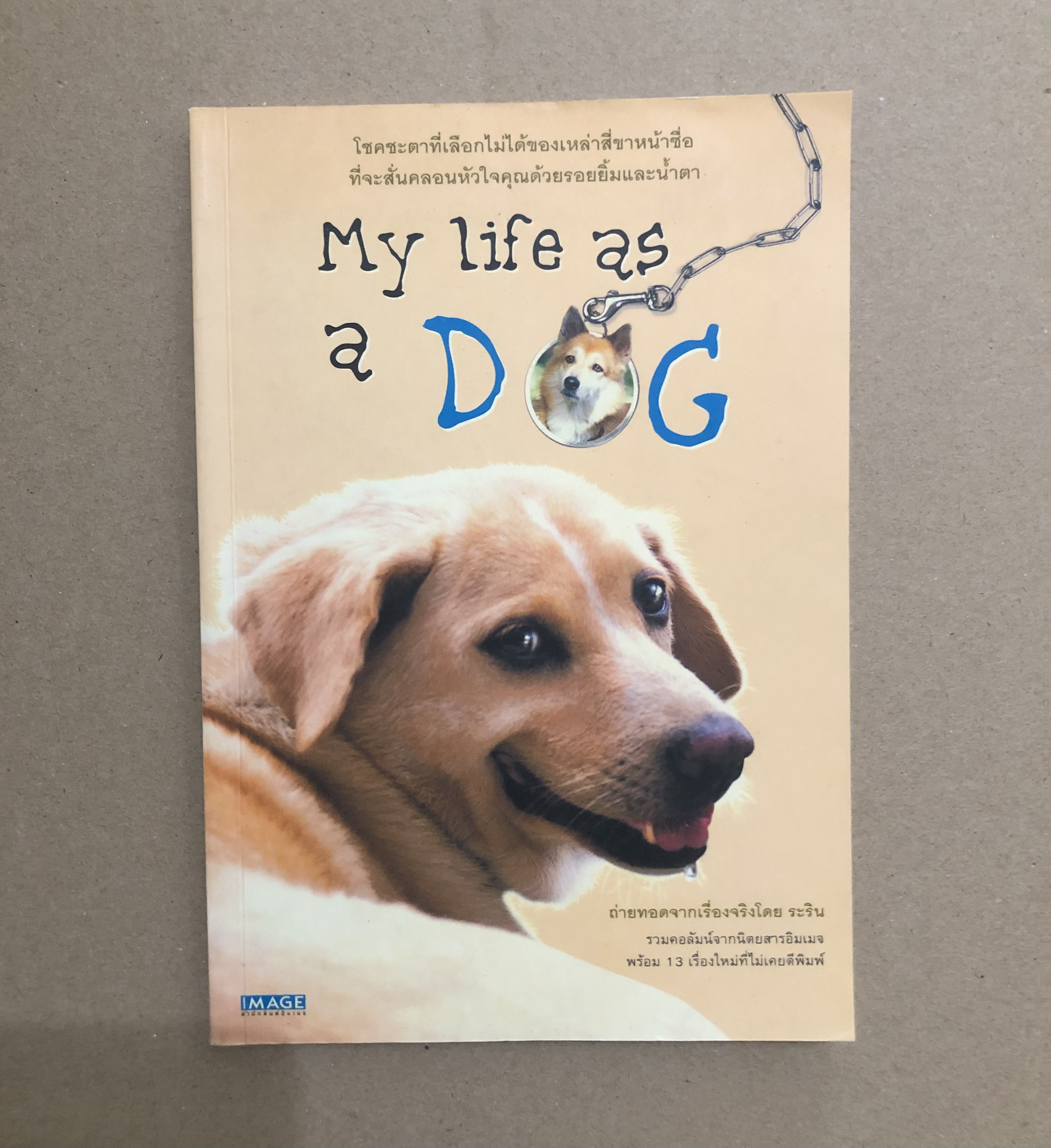 My life as a dog