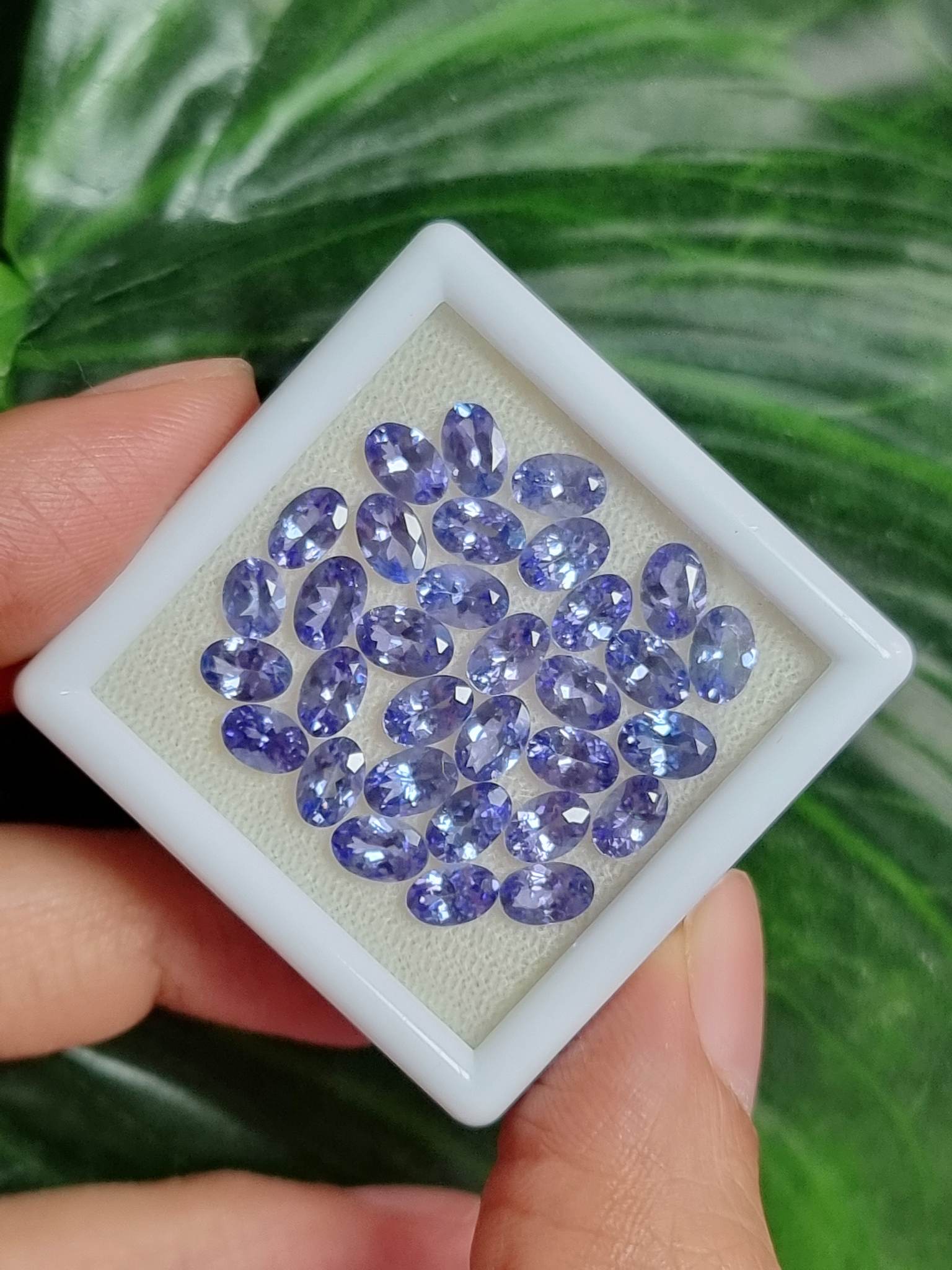 แทนซาไนท์ไข่ 6x4mm. 15.70 กะรัต 1 ชุด