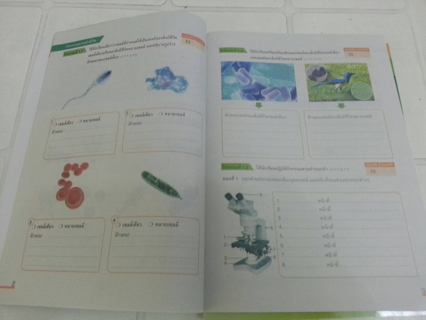 แบบวัดและบันทึกผลการเรียนรู้ วิชาวิทยาศาสตร์ชั้น ม.1 โดยพัชรินทร์ แสนพลเมือง สำนักพิพพ์ อจท