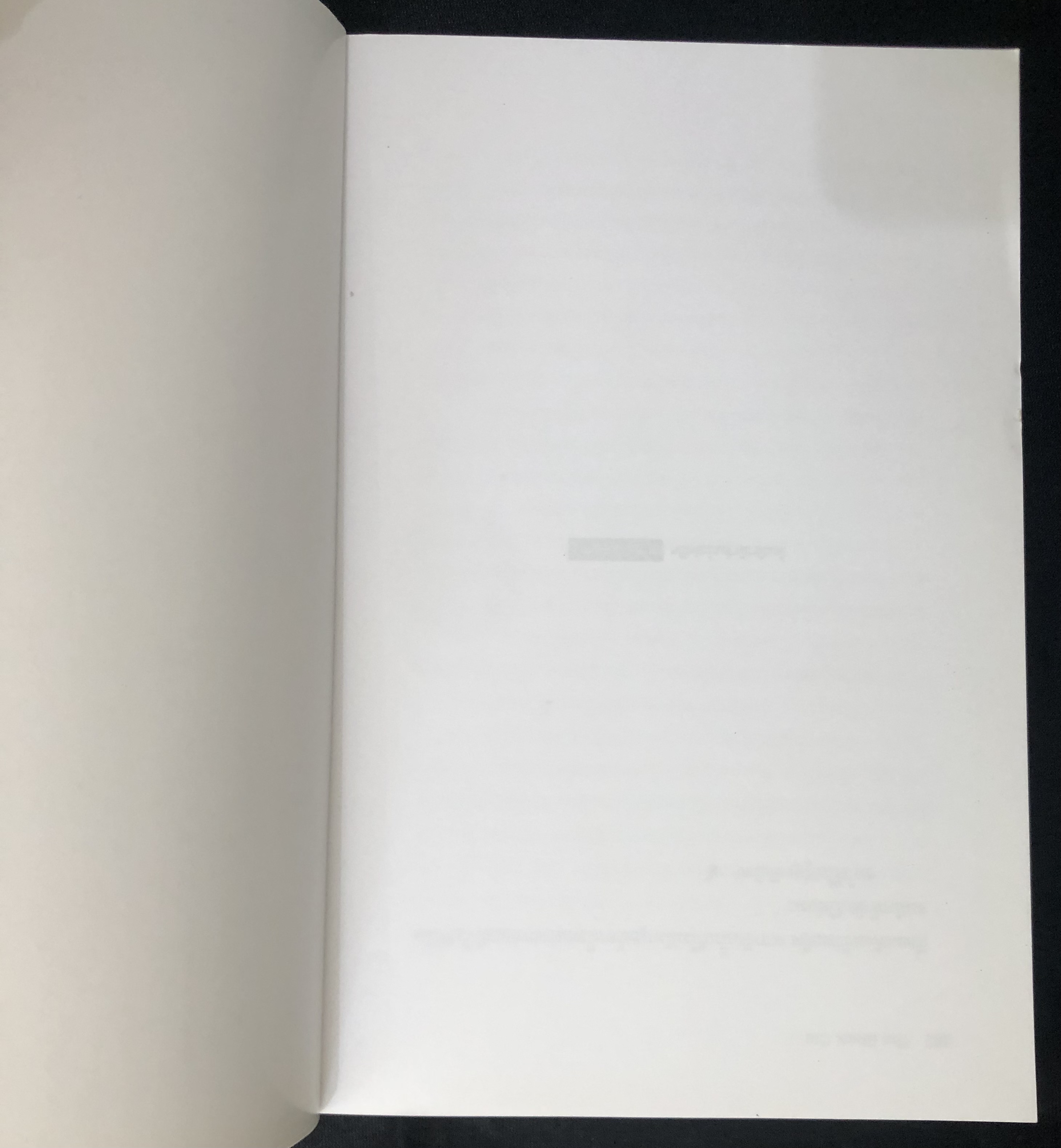 แมวผี : The Black Cat