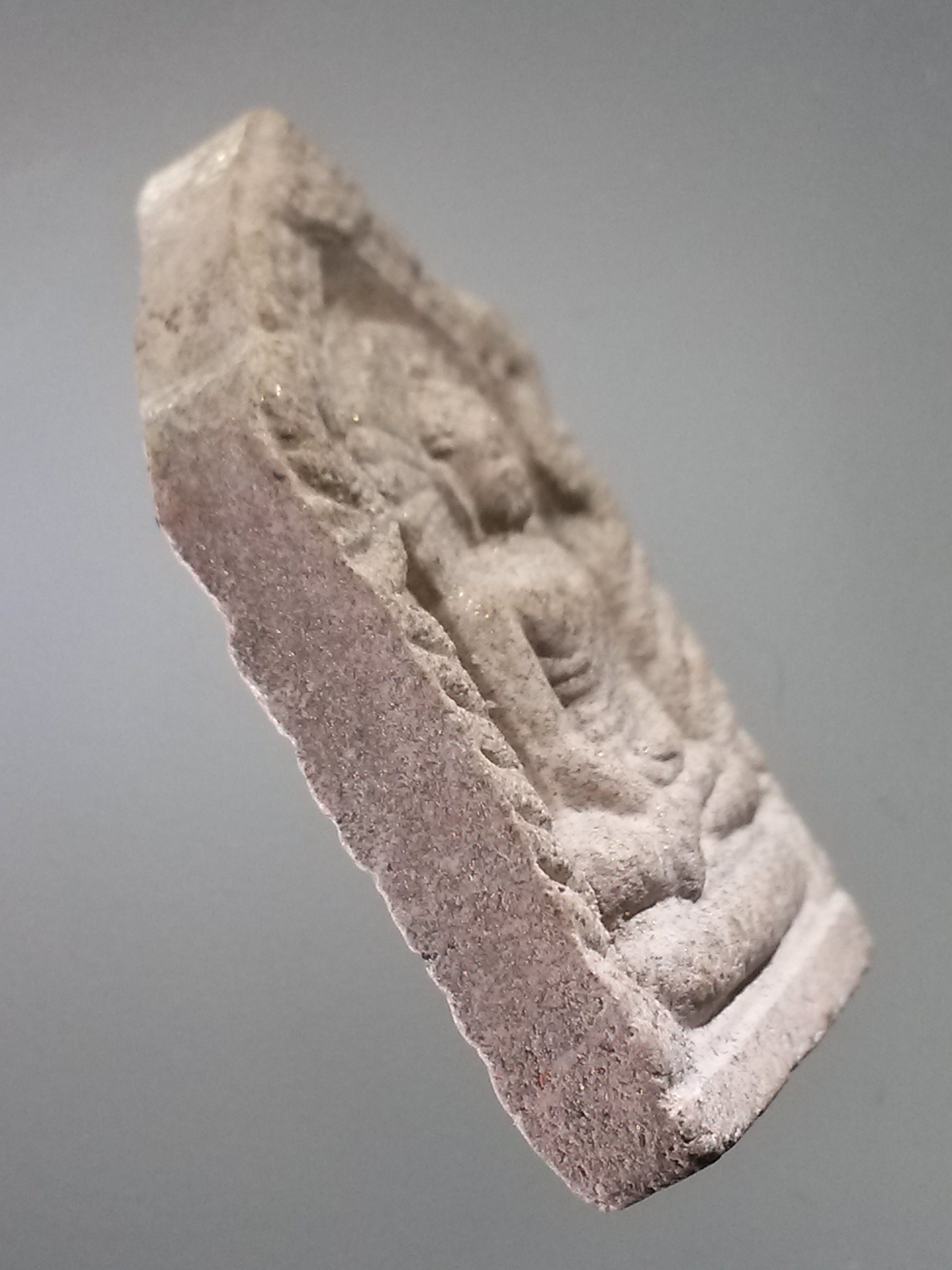 รหัสสินค้า พระไม่ทราบที่ 485 พระพุทธเมตตาเนื้อผง พิมพ์ห้าเหลี่ยม หลังเรียบ ไม่ทราบที่ พระรายการนี้ให้เช่าบูชาเเล้ว