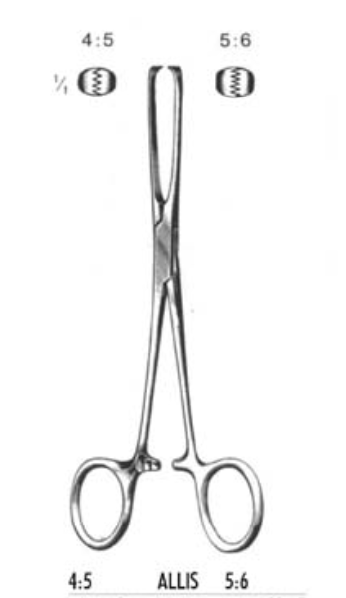 Forceps ALLIS Tissue