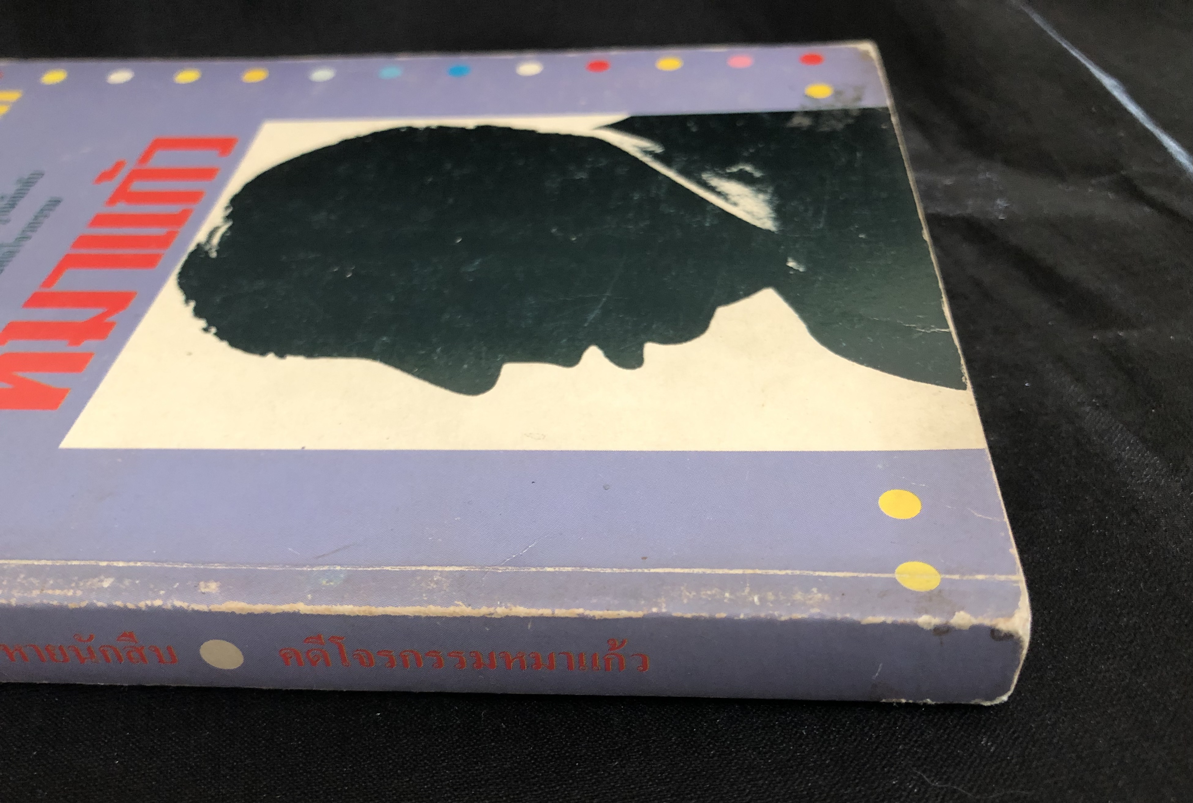 อัลเฟรด ฮิทช์ค้อค กับ สามสหายนักสืบ ตอนคดีโจรกรรมหมาแก้ว (The Mystery of The Invisible Dog)