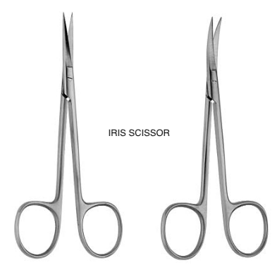 Scissors Iris