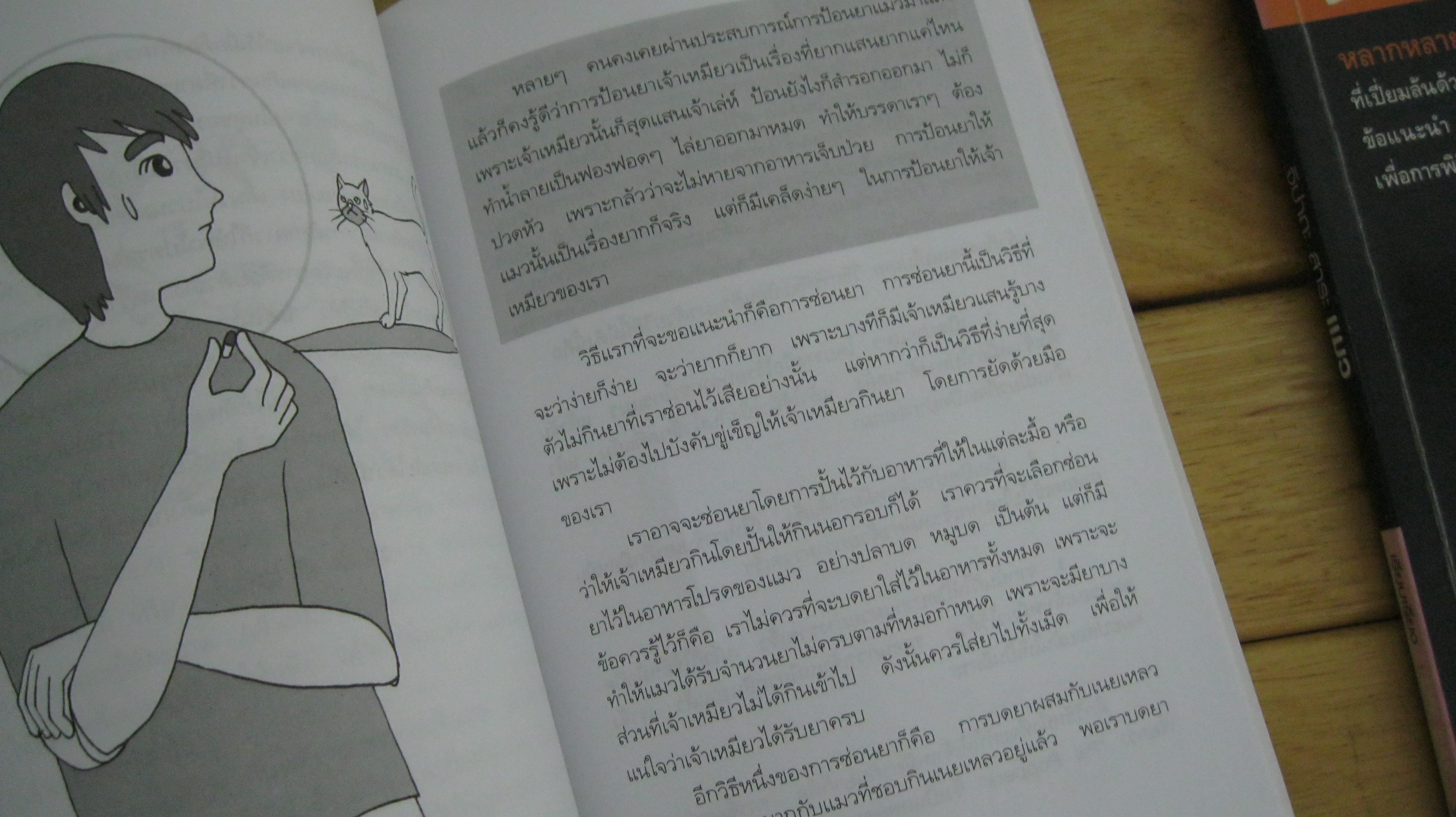 คู่มือเลี้ยงแมว,จิปาถะสาระแมว