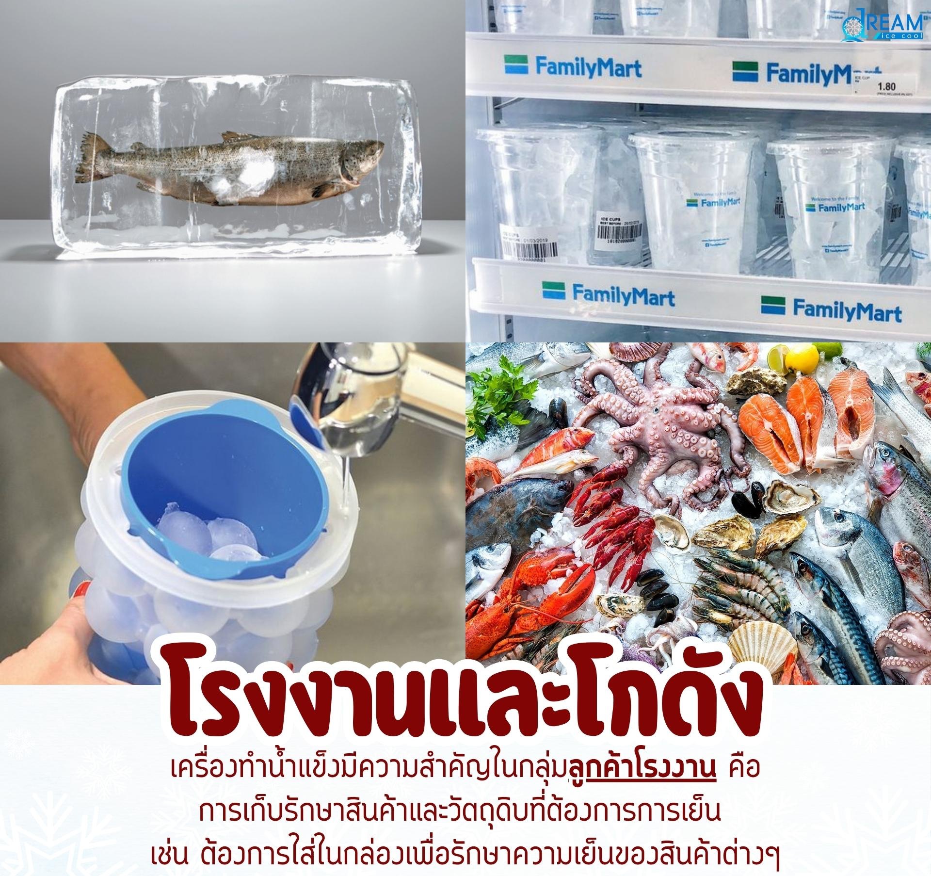 เครื่องทำน้ำแข็งเพื่อโรงงานและโกดัง ช่วยในการเก็บรักษาสินค้าและวัตถุดิบที่ต้องการความเย็น เช่น อาหารทะเล เนื้อสัตว์ ผัก และสินค้าแช่แข็งต่าง ๆ ทำให้สินค้าสดใหม่ มีคุณภาพ และปลอดภัยตลอดการจัดเก็บและกระจายสินค้า