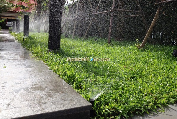 รับติดตั้งสปริงเกอร์ บ้าน สวน โรงงาน โรงแรม รดน้ำอัตโนมัติ