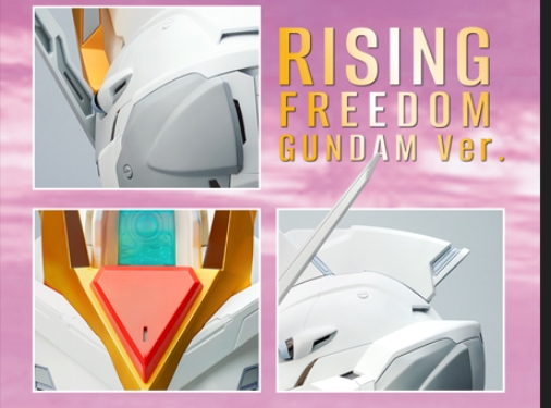 <preorder ปิดรับวันที่ 12/5/2025> เปิดรับPreorder มัดจำ 500 บาท BN HEAD COLLECTION RISING FREEDOM GUNDAM