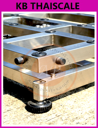 เครื่องชั่งดิจิตอลกันน้ำ เครื่องชั่งน้ำหนัก60กิโล เครื่องชั่งน้ำหนักดิจิตอล60kg ความละเอียด 5g แท่นชั่งขนาด 30x40cm. ยี่ห้อ TSCALE รุ่น BW-S Series