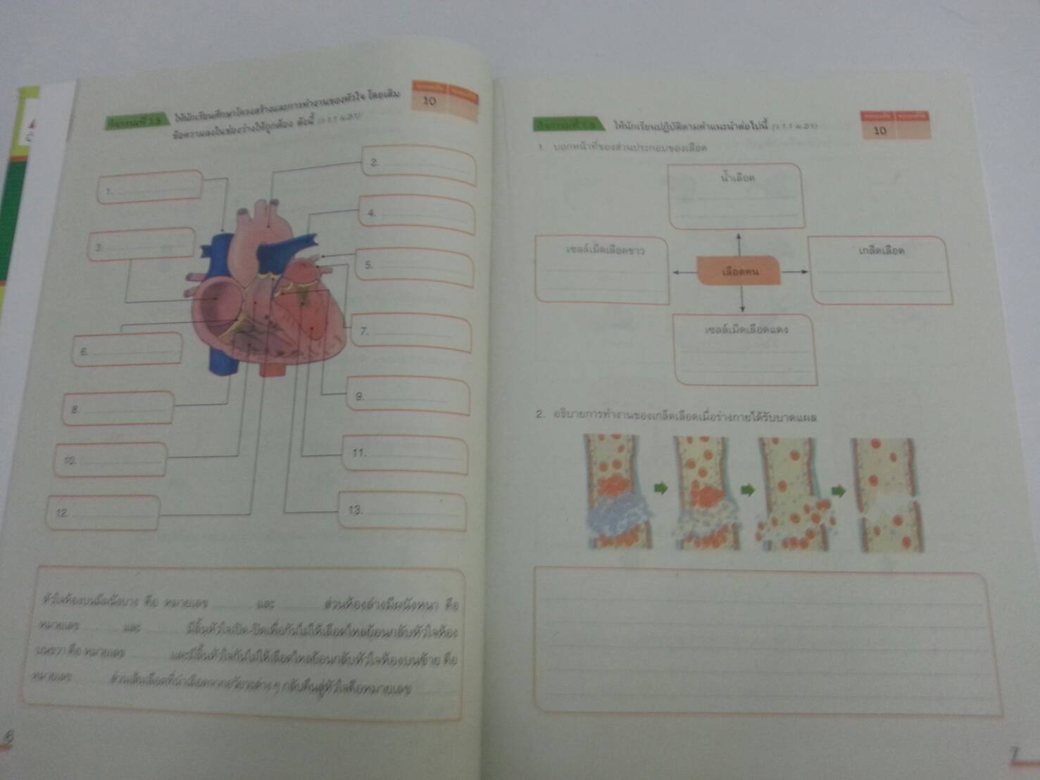 แบบวัดและบันทึกผลการเรียนรู้ วิชาวิทยาศาสตร์ชั้น ม.2 โดยพัชรินทร์ แสนพลเมือง สำนักพิพพ์ อจท