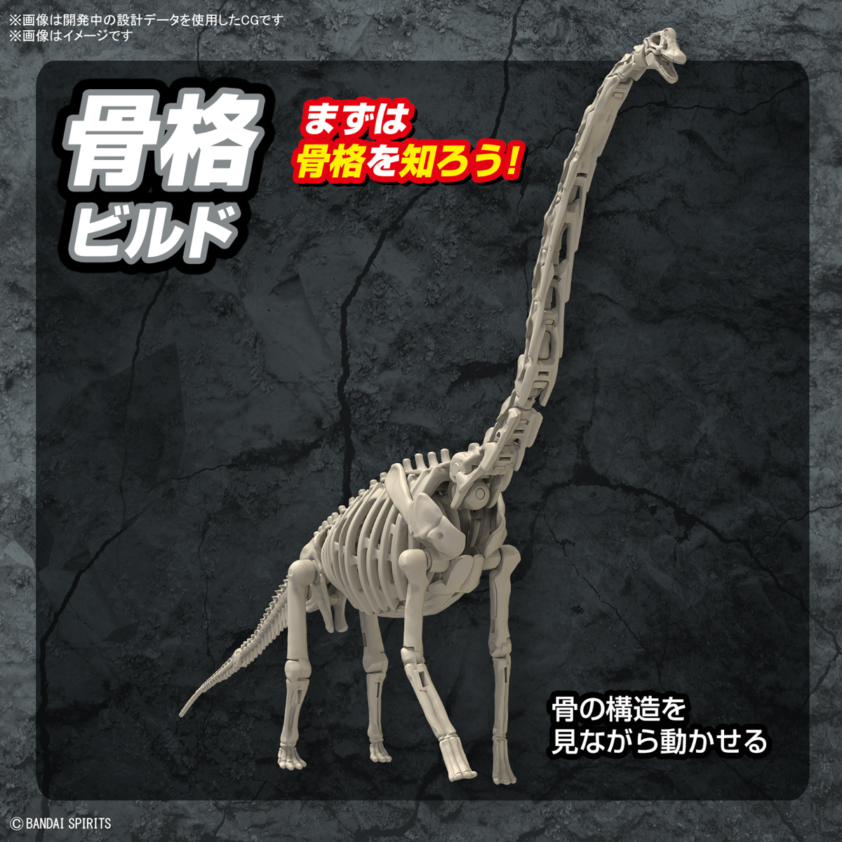 <Preorder ปิดรับวันที่ 15/6/2024 > 🔔เปิดรับPreorder ไม่ต้องมัดจำครับ planosaurus brachiosaurus