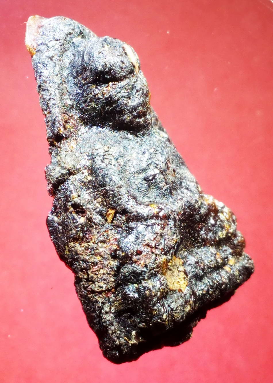 รหัสสินค้า หลวงปู่ทวด วัดต่างๆ 168 หลวงปู่ทวด ไม่ทราบวัด สร้างจากเนื้อว่านจำปาสัก หายากครับผมเองก็เพิ่งจะเคยได้ พระรายการนี้ให้เช่าบูชาแล้ว