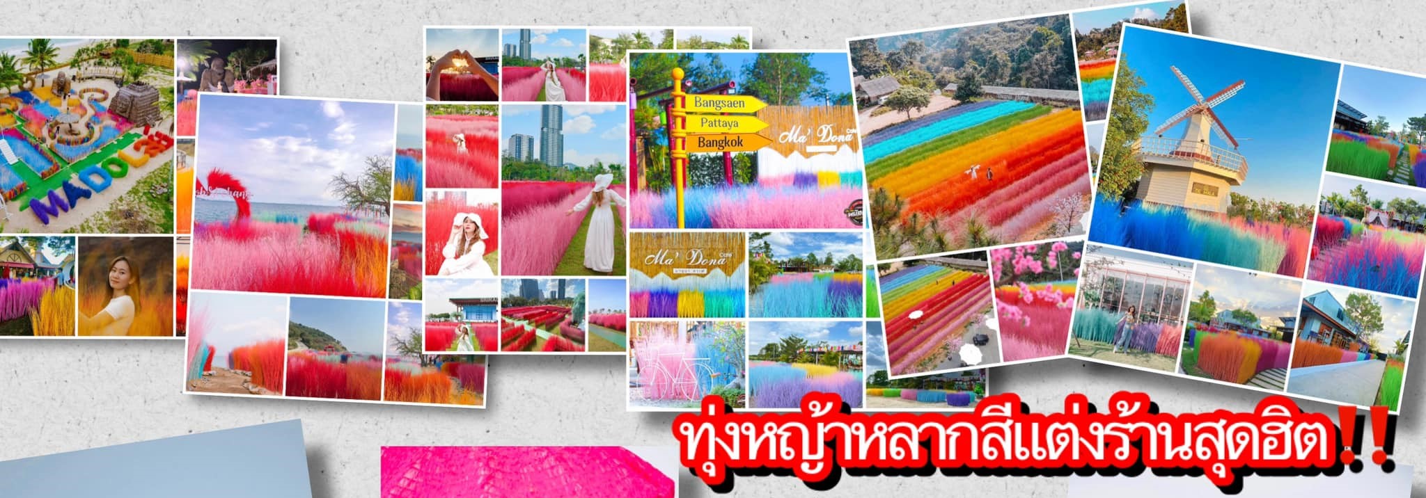 รับตกแต่งสวนพร๊อพถ่ายรูป