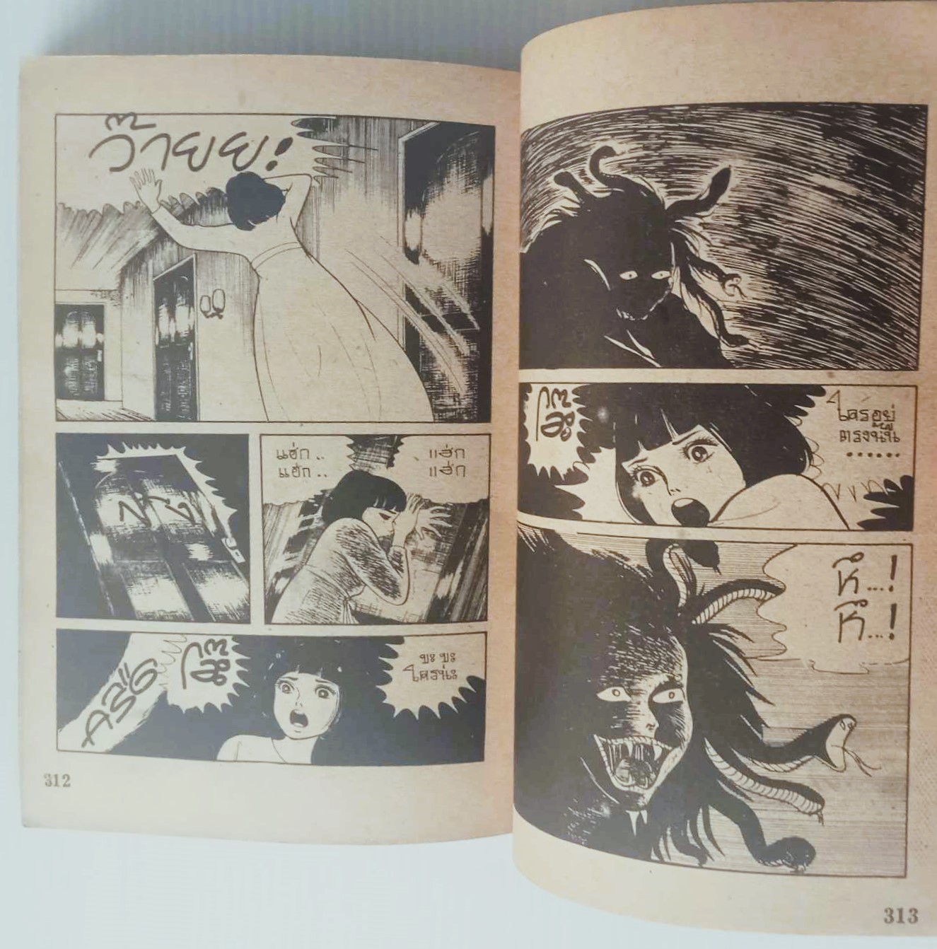 ภาพวิญญาณสยอง