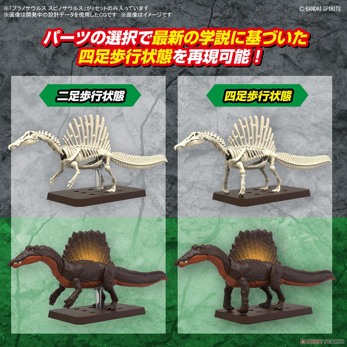 <Preorder ปิดรับวันที่ 2/4/2023> 🔔เปิดรับPreorderไม่ต้ดงมัดจำ Planosaurus Spinosaurus (Plastic model)