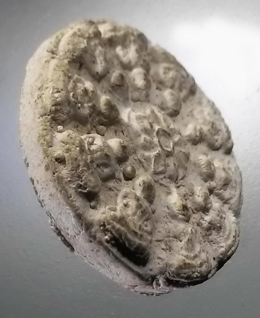 รหัสสินค้า พระไม่ทราบที่ 525 พระงบน้ำอ้อยเนื้อผง ตรงกลางคล้ายดอกบัว ไม่ทราบที่