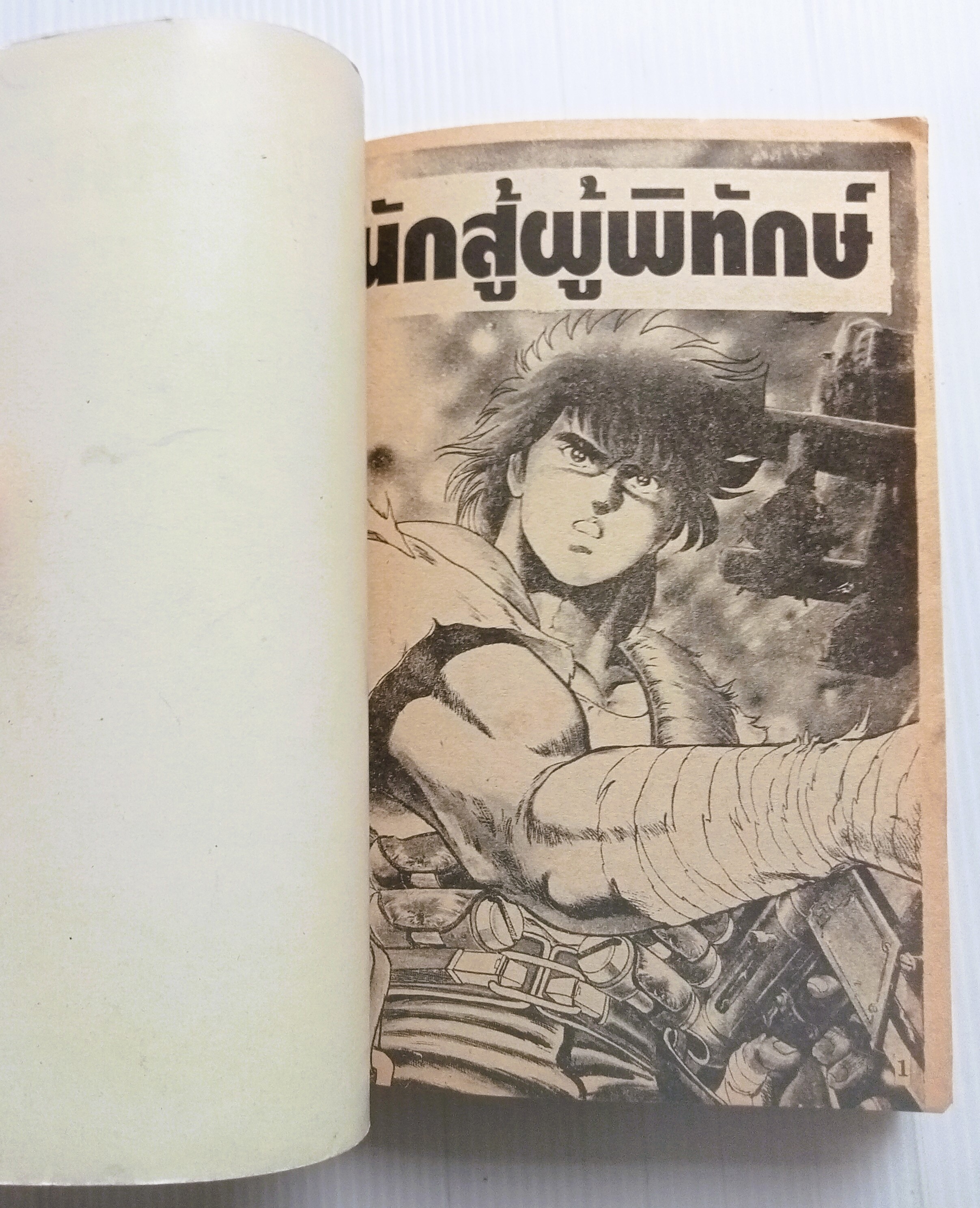 นักสู้ผู้พิทักษ์