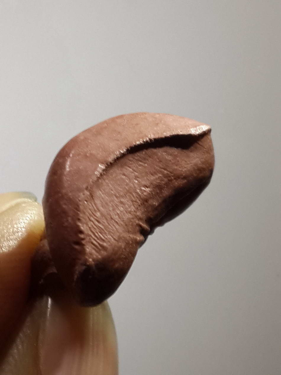 รหัสสินค้า พระไม่ทราบที่ 319 พระฤาษีเนื้อผง ลอยองค์ ไม่ทราบที่