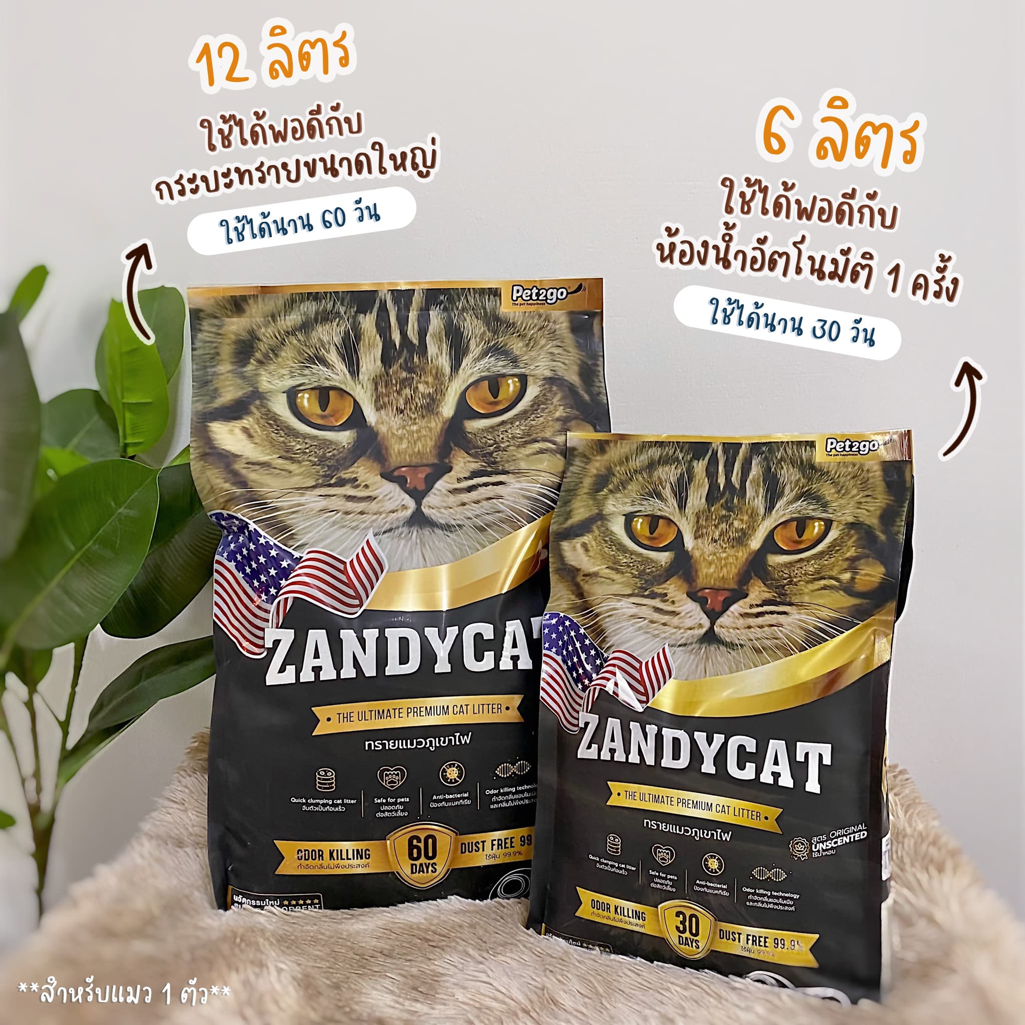 ZANDYCAT ทรายแมวภูเขาไฟ อัลทิเมทพรีเมียม ขนาด 12 ลิตร