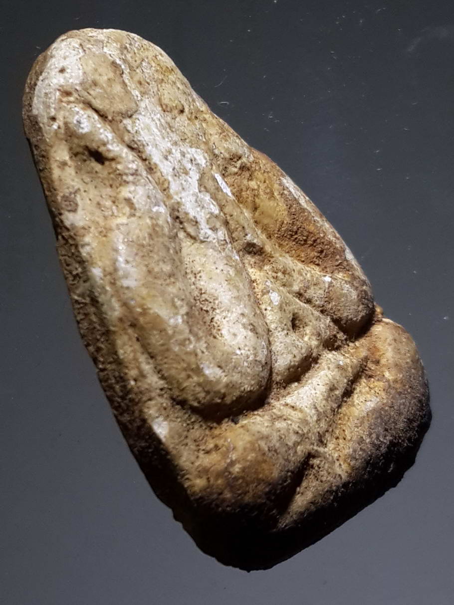 รหัสสินค้า พระไม่ทราบที่ 365 พระปิดตา เนื้อผง หลังยันต์ ไม่ทราบที่ พระรายการนี้ให้เช่าบูชาแล้ว