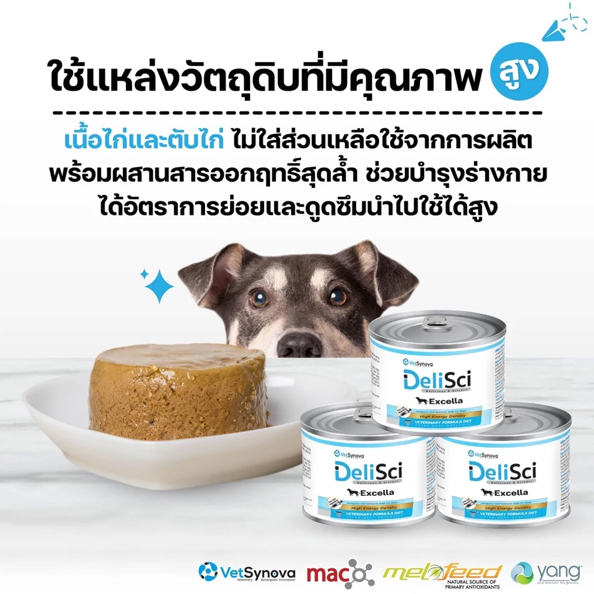 DeliSci : Excella อาหารฟื้นฟูสําหรับสัตว์ป่วย ขาดสารอาหาร และพักฟื้นหลังการผ่าตัด ที่ต้องการพลังงานสูง ขนาด 185g