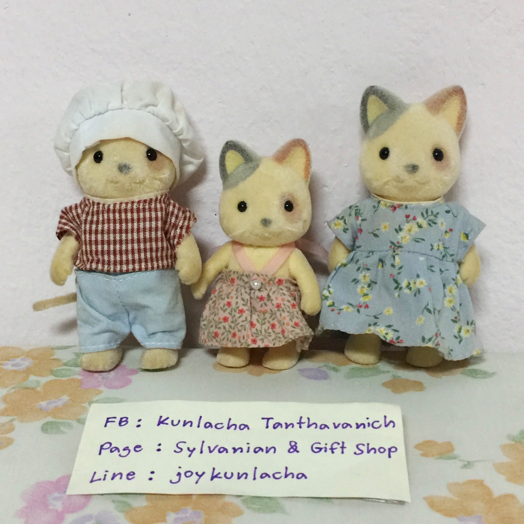 ครอบครัวคุณแมว Whisker Cat Family : Sylvanian Families หูคุณพ่อถลอกนิดนึงค่ะ