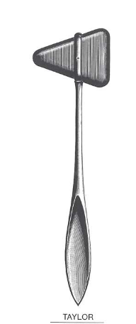 E02-0010 TAYLOR PERCUSSION HAMMER 18cm