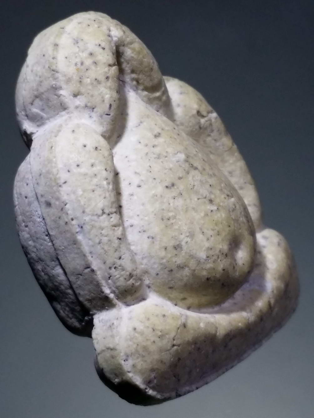 รหัสสินค้า พระไม่ทราบที่ 256 พระปิดตาเนื้อผง หลังยันต์ ไม่ทราบที่