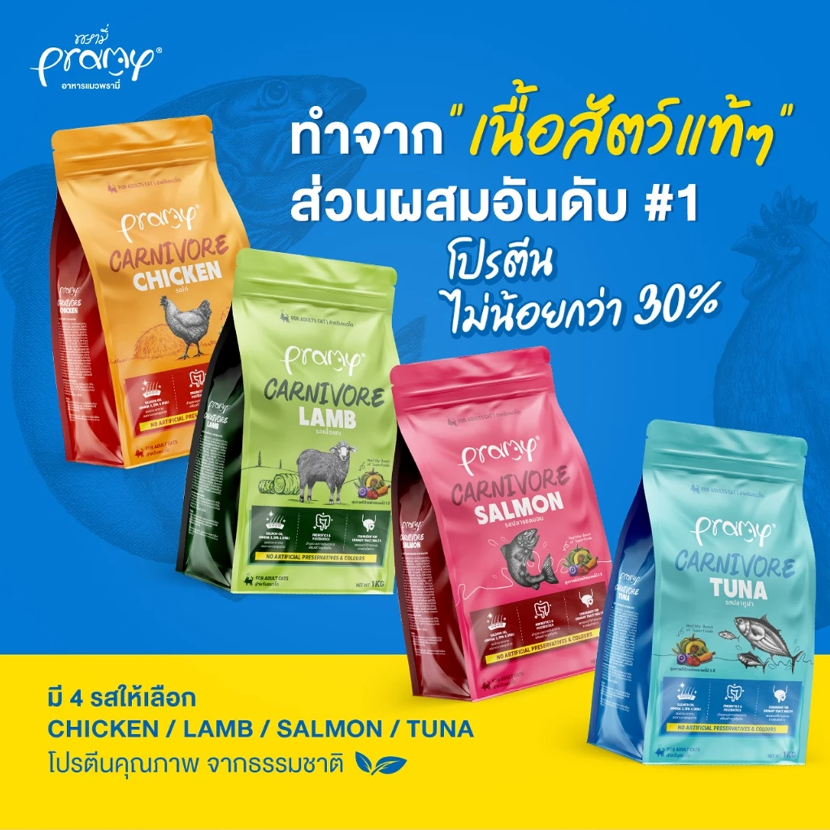 Pramy Carnivore อาหารเม็ดแมวพรามี่ สูตรเน้นเนื้อแท้ โปรตีนสูง เสริมสร้างสุขภาพแบบรอบด้าน ขนาด 1kg สำเนา