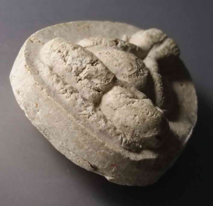 รหัสสินค้า พระปิดตา ทั่วไป 060 พระปิดตาเนื้อผง หลวงปู่แสง ปริปุณโณ พระรายการนี้ให้เช่าบูชาแล้ว