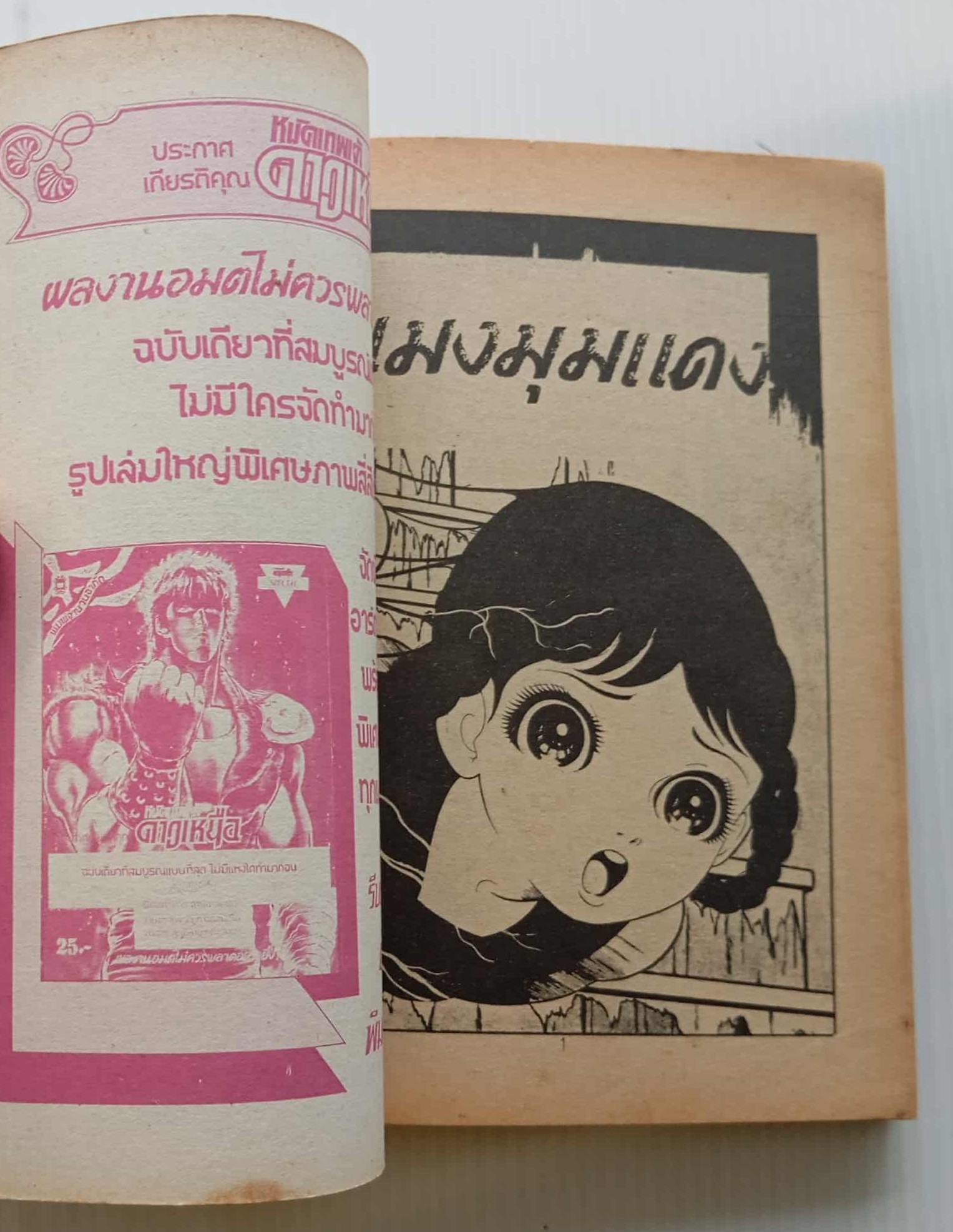 ขวัญผวา เล่ม 15