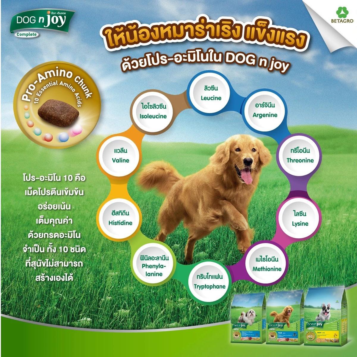 Dog N Joy ด็อกเอ็นจอย อาหารสำหรับ สุนัข ทุกสายพันธุ์ 3KG
