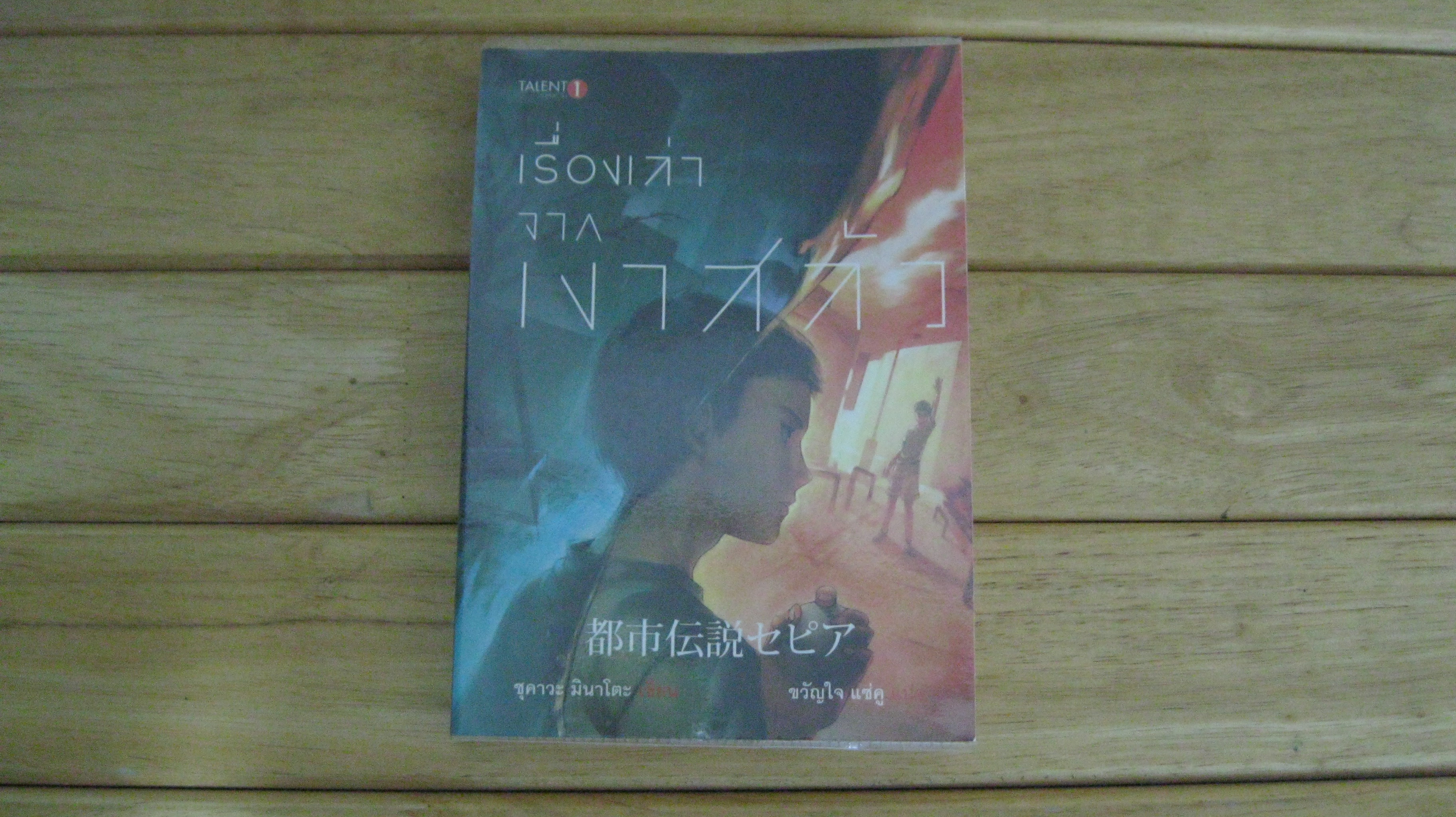 เรื่องเล่าจากเงาสลัว
