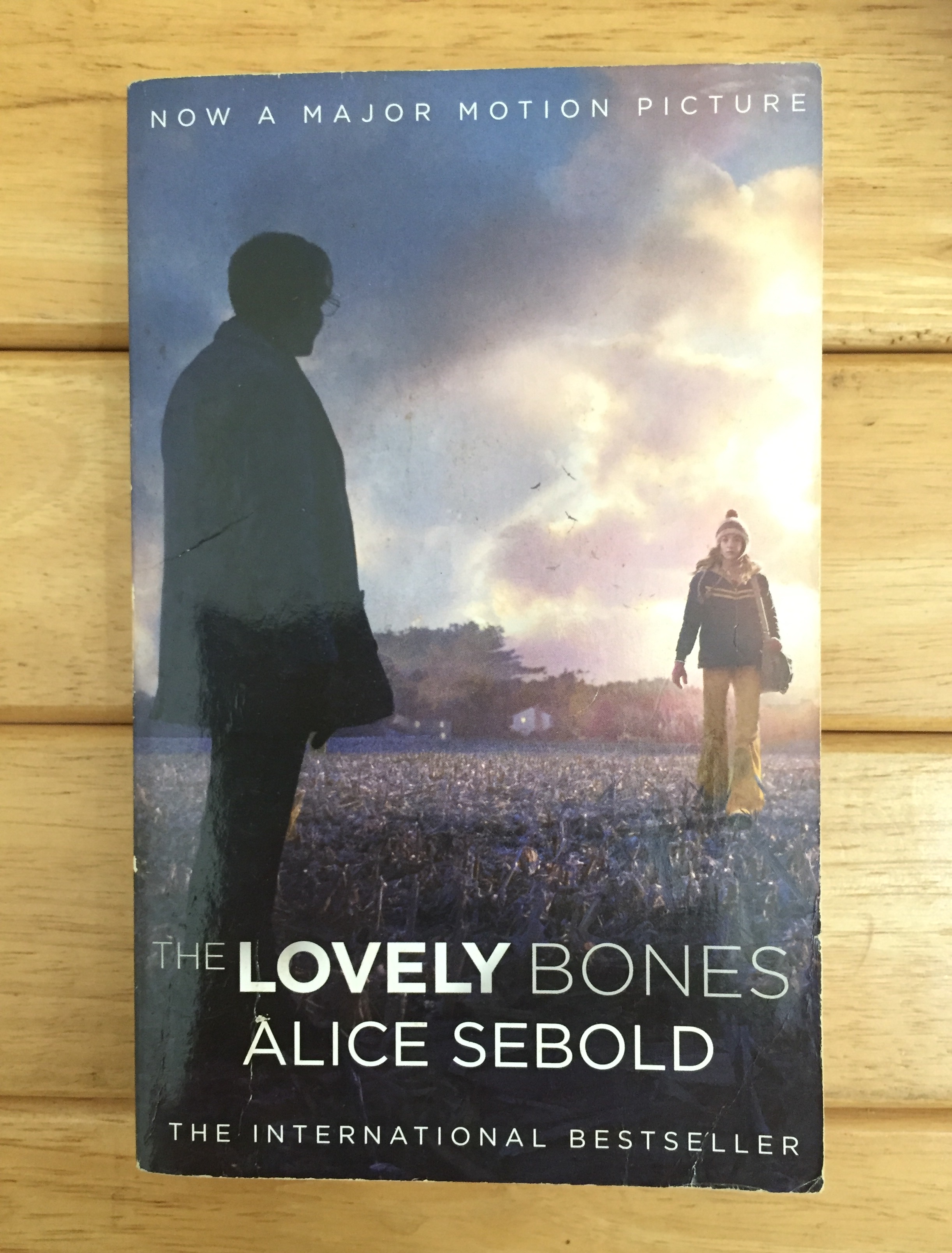 The Lovely Bones