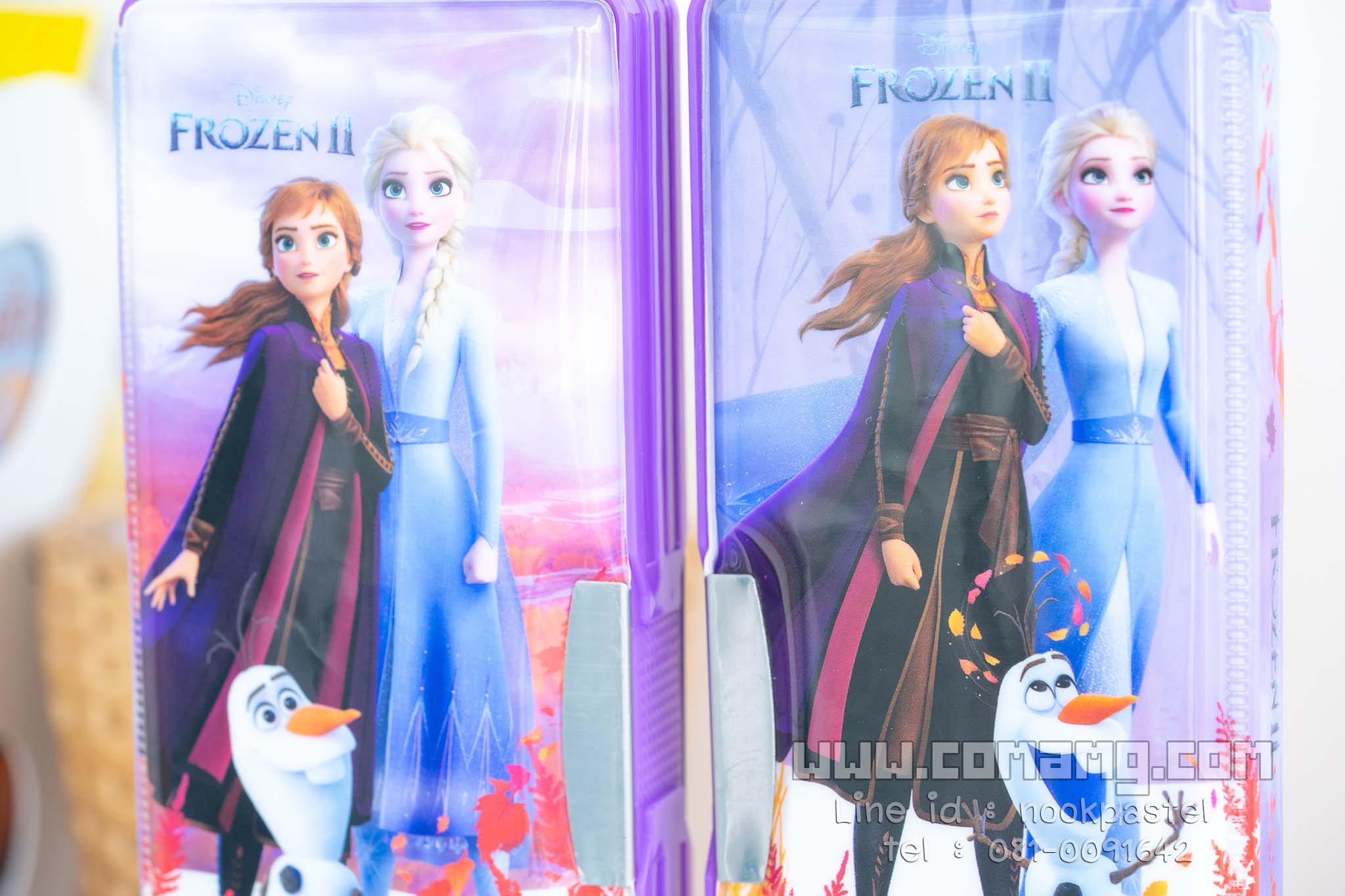 กล่องดินสอแม่เหล็ก ลายเอลซ่า&อันนา (Frozen2) ลิขสิทธิ์แท้
