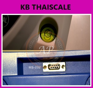 ตาชั่งดิจิตอล เครื่องชั่งระบบอิเล็กทรอนิกส์ ขนาดพิกัด 30kg อ่านละเอียด 0.5g ยี่ห้อ PRIS รุ่น PCH (รับประกันคุณภาพ 1 ปี)