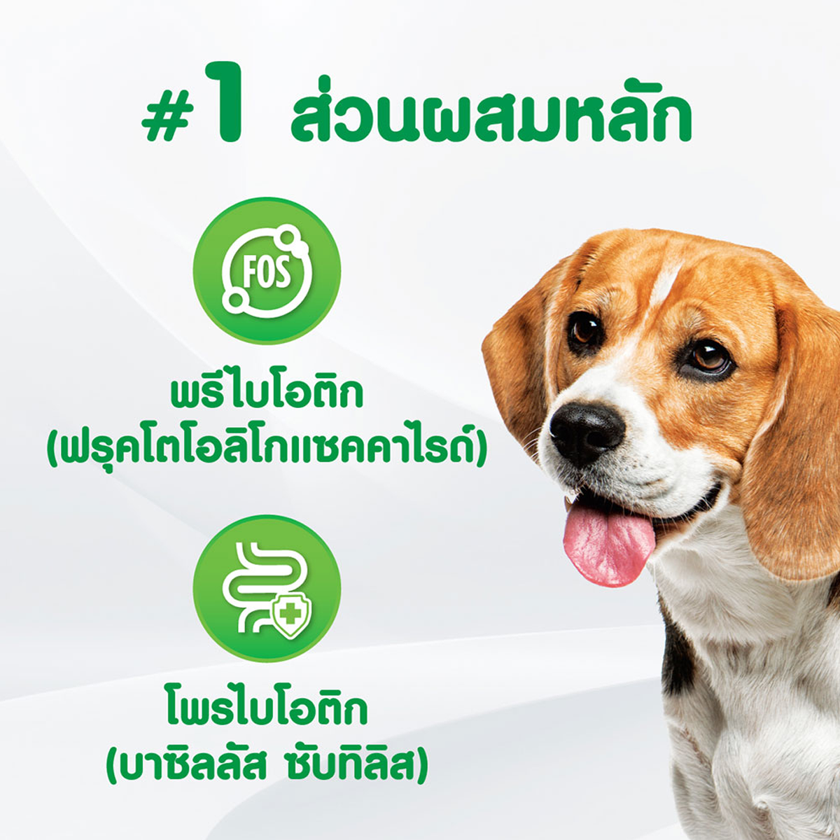 IAMS ไอแอมส์ อาหารเสริมสุนัข - อาหารเสริมเคี้ยวได้ ขนาด 168 G