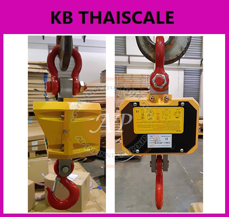 เครื่องชั่งแขวน 10 ตัน เครื่องชั่งน้ำหนัก เครื่องชั่งดิจิตอลแบบแขวน ตาชั่งแขวน พิกัด 10000kg ค่าละเอียด 2kg ยี่ห้อ ZEPPER รุ่น CSR 10000kg/2kg (ผ่านการตรวจรับรองจากสำนักงานกลางชั่งตวงวัด)