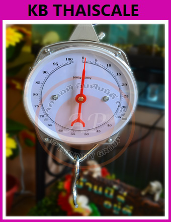 เครื่องชั่งแบบแขวน100กิโล เครื่องชั่งแขวนแบบเข็ม100กิโลกรัม ตาชั่งแขวน100กิโล กิโลแขวน100กิโล เครื่องชั่งแขวนHanging Scales100kg